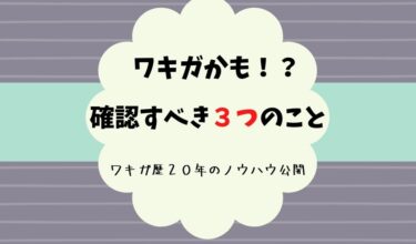 デオナチュレをワキガ対策に使うとかゆい 口コミはどう 敏感肌に使えるかレビュー デオドラントサロン